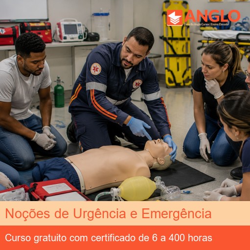 Noções de Urgência e Emergência